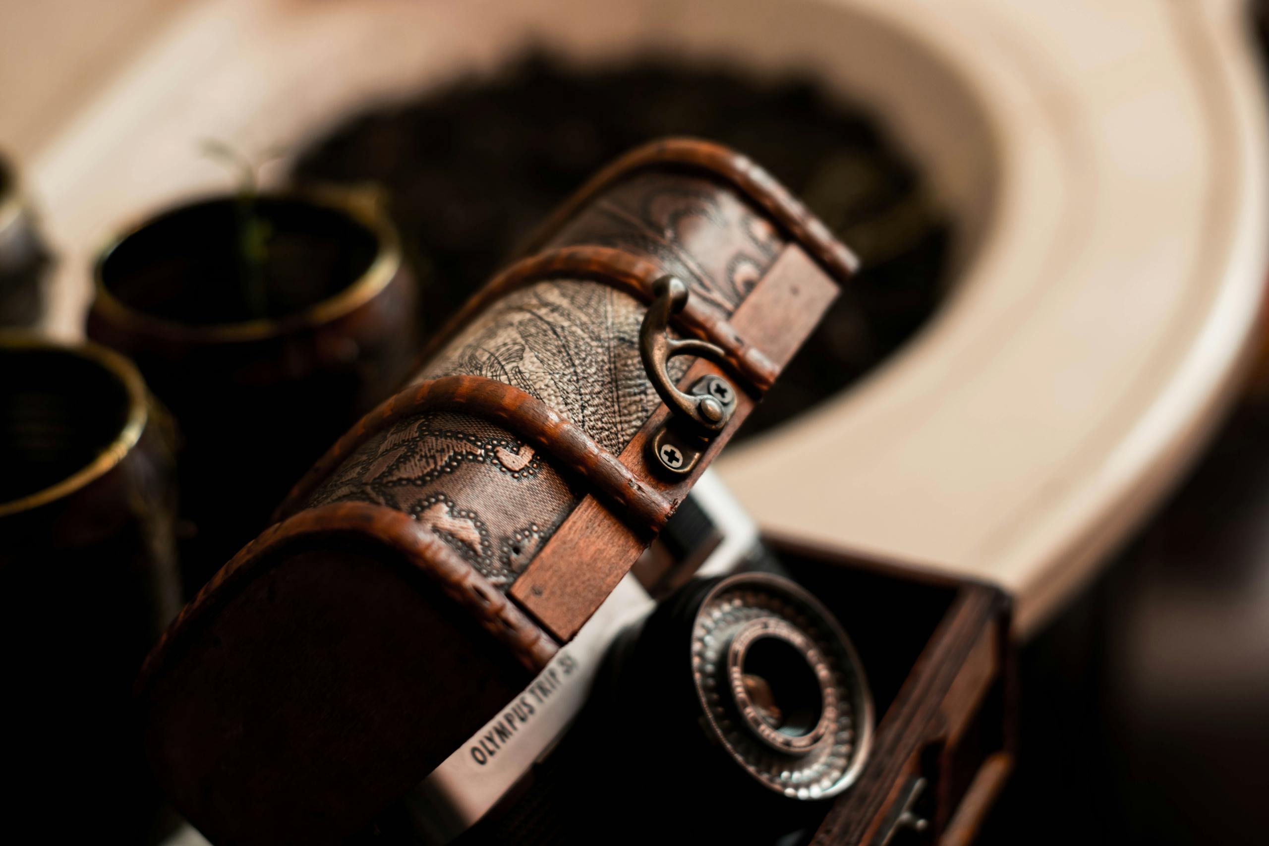 Elegant vintage camera inside a decorative wooden chest, symbolizing nostalgia and classic photography.
